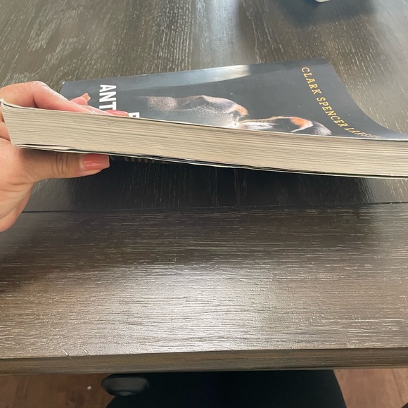 Essentials of Biological Anthropology fourth edition by Clark Spencer book - Picture 4 of 4